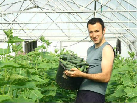 Cum face agricultură un român de 26 de ani care a învăţat în SUA: 10.000 de euro profit de pe 5 hectare