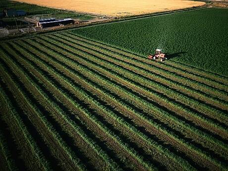 Alfalfa Hay Harvest