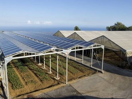 La serre photovoltaïque du Tampon, à la Réunion, mise en service en janvier