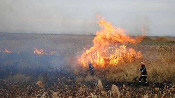 Incendiu pe camp