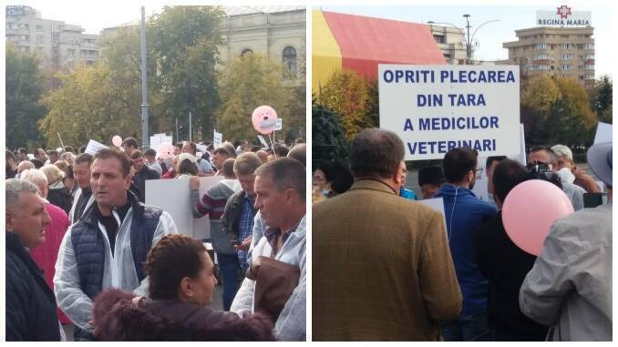 Protest medici veterinari 2 noiembrie