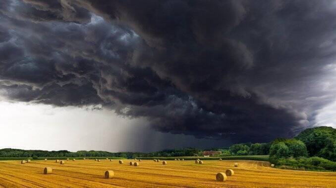 Anul agricol 2018