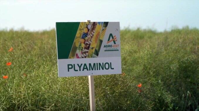 Plyaminol Agro Est Muntenia
