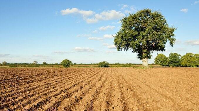 Agrostar Constanta se imprumuta pentru a cumpara teren agricol