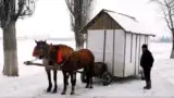 Cioban casa pe roate Cioban casa pe roate