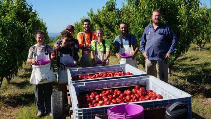Locuri de munca agricultura