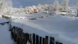 Zapada cat gardul Zapada cat gardul