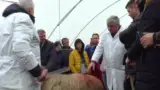 Curs instruire crescatori ovine Curs instruire crescatori ovine