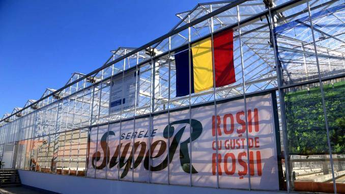 Sera de rosii Biled