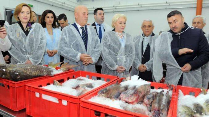 Inaugurare Bursa de Peste Tulcea