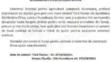 Apel la solidaritate Flavius Trica