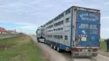 oi3 oi3