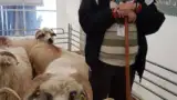 Craciun Nicu Craciun Nicu