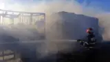 Pompier interventie incendiu stupina albine Pompier interventie incendiu stupina albine
