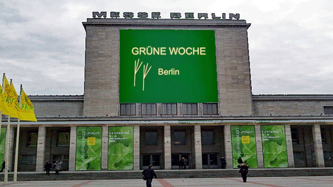 o cladire cu un banner verde