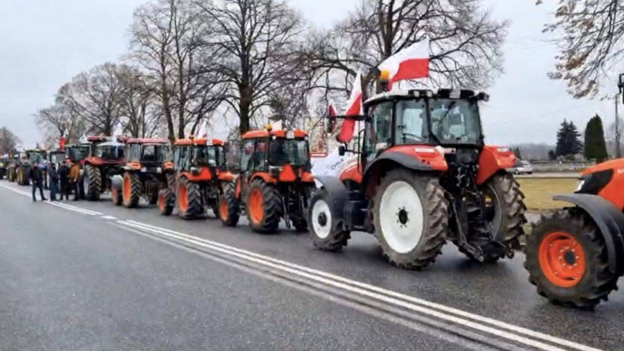 mai multe tractoare aliniate pe sosea