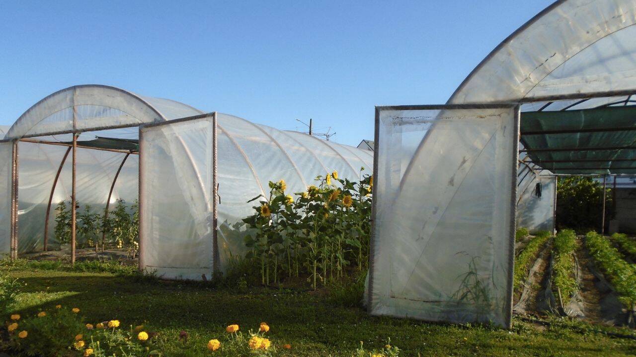 doua solarii vazute din exterior