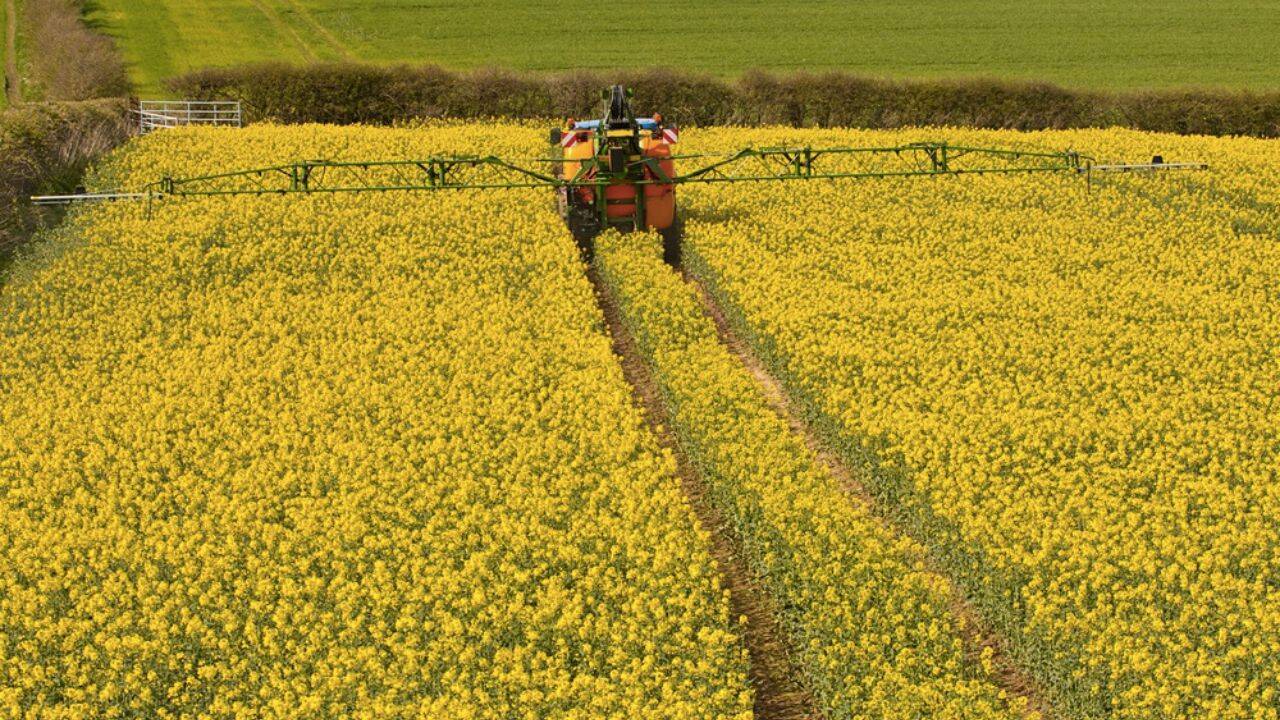 un utilaj agricol intr-un camp de rapita