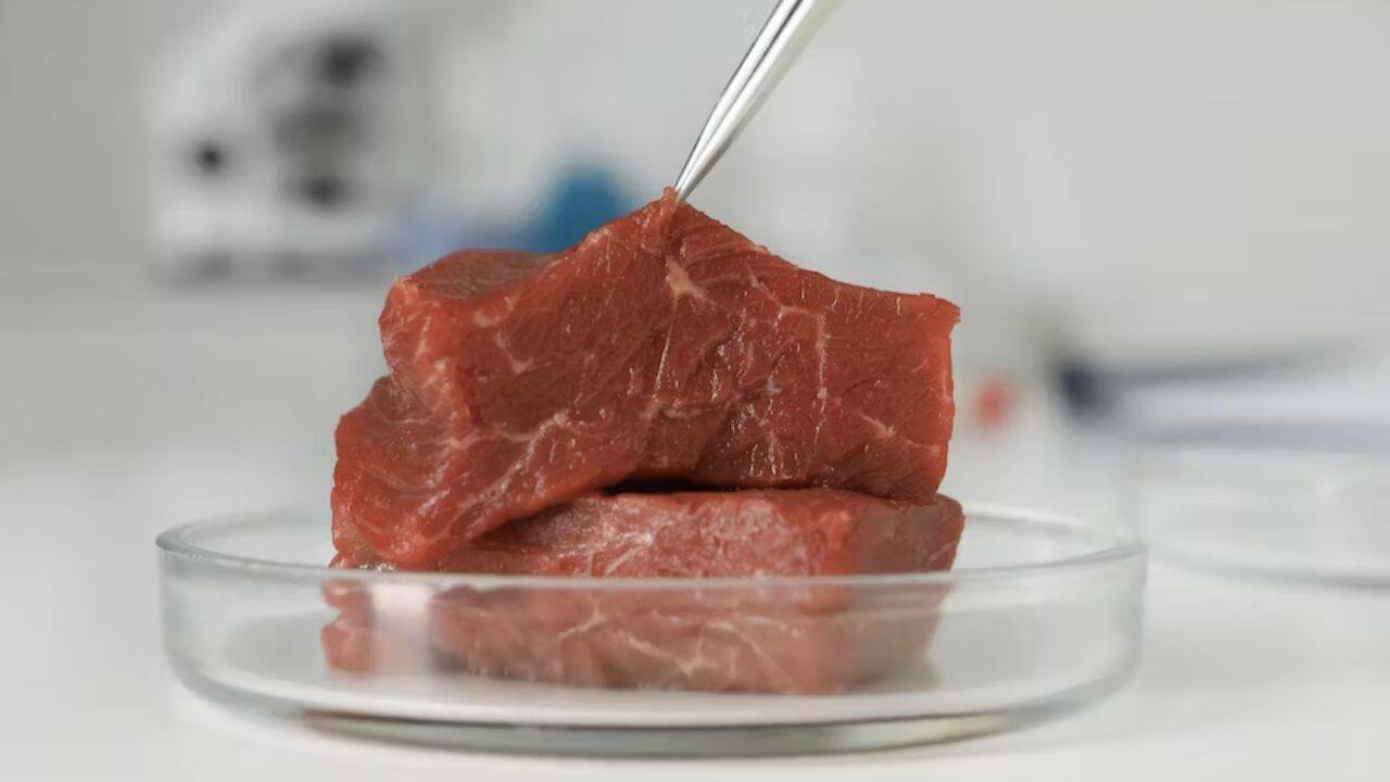 carne artificiala