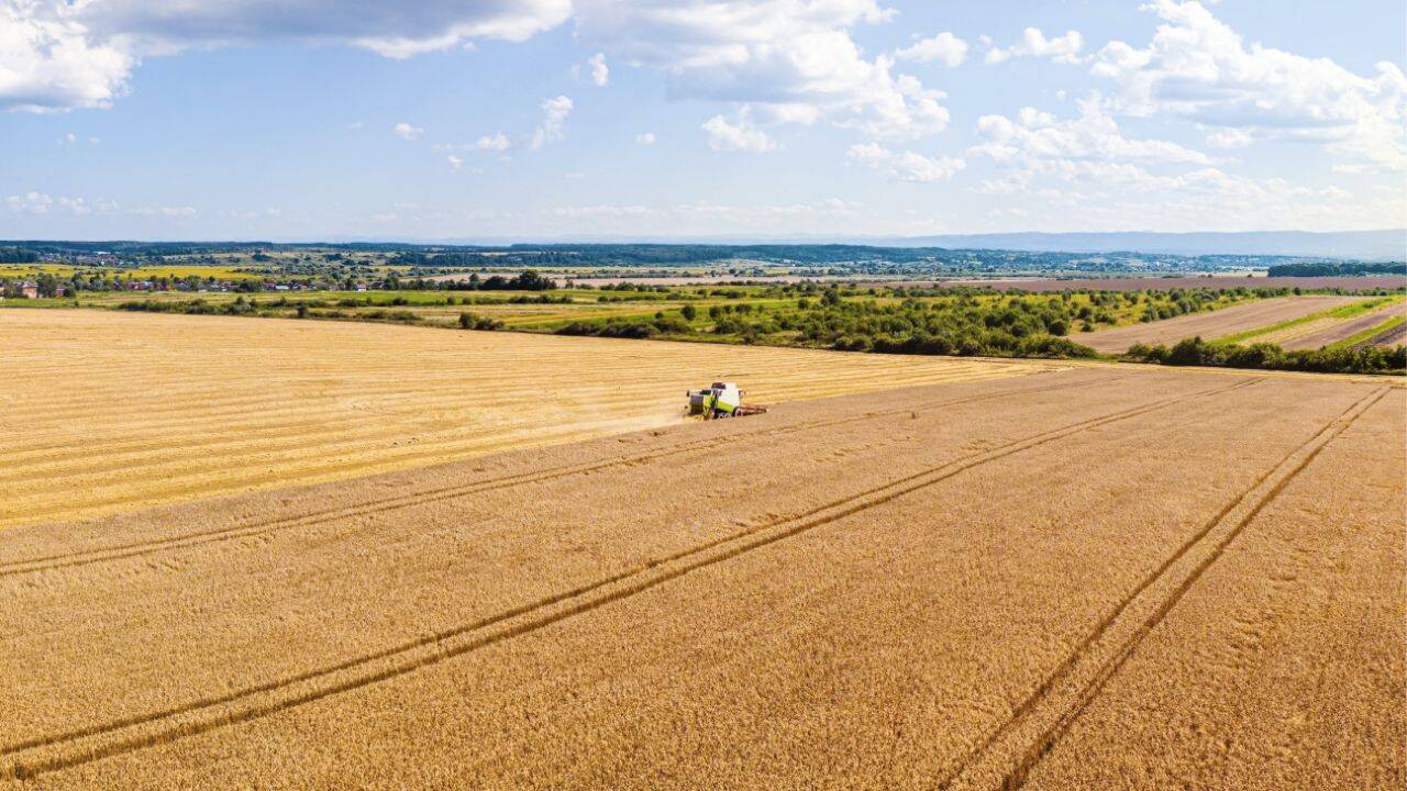 un teren agricol