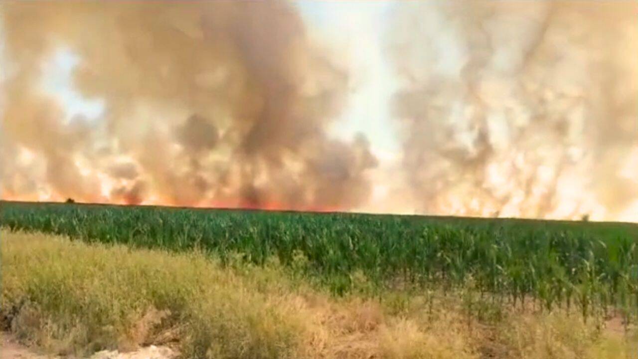 un incendiu pe camp