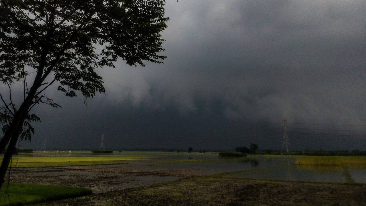 vreme innorata pe un camp