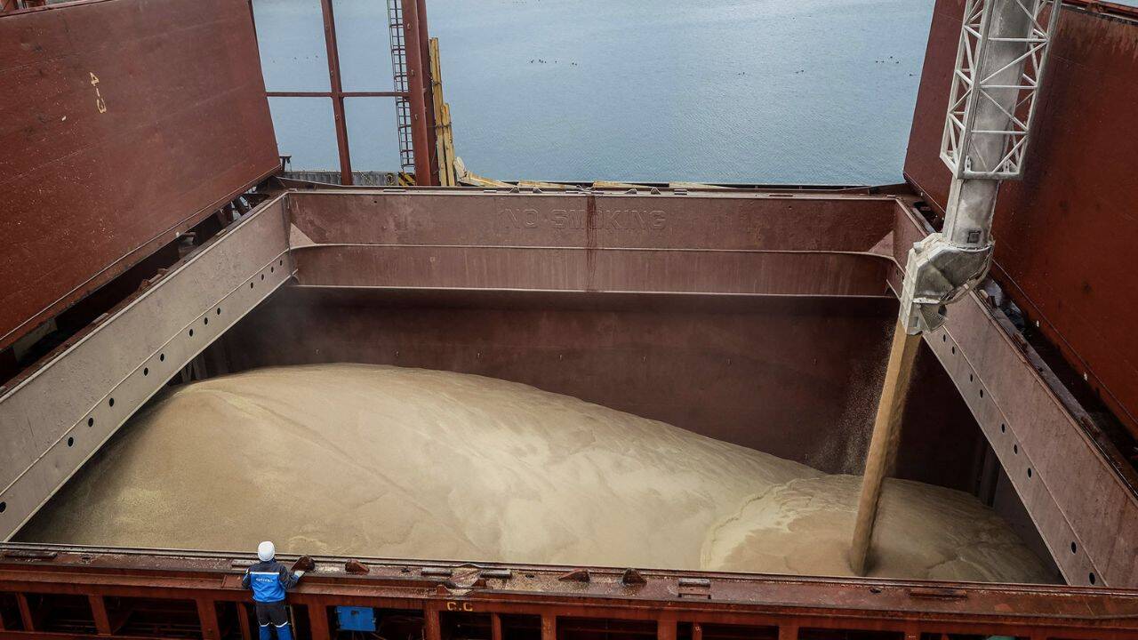 o cantitate mare de grau pe un vas comercial