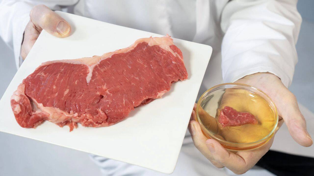 o persoana in halat cu o bucata de carne in mana