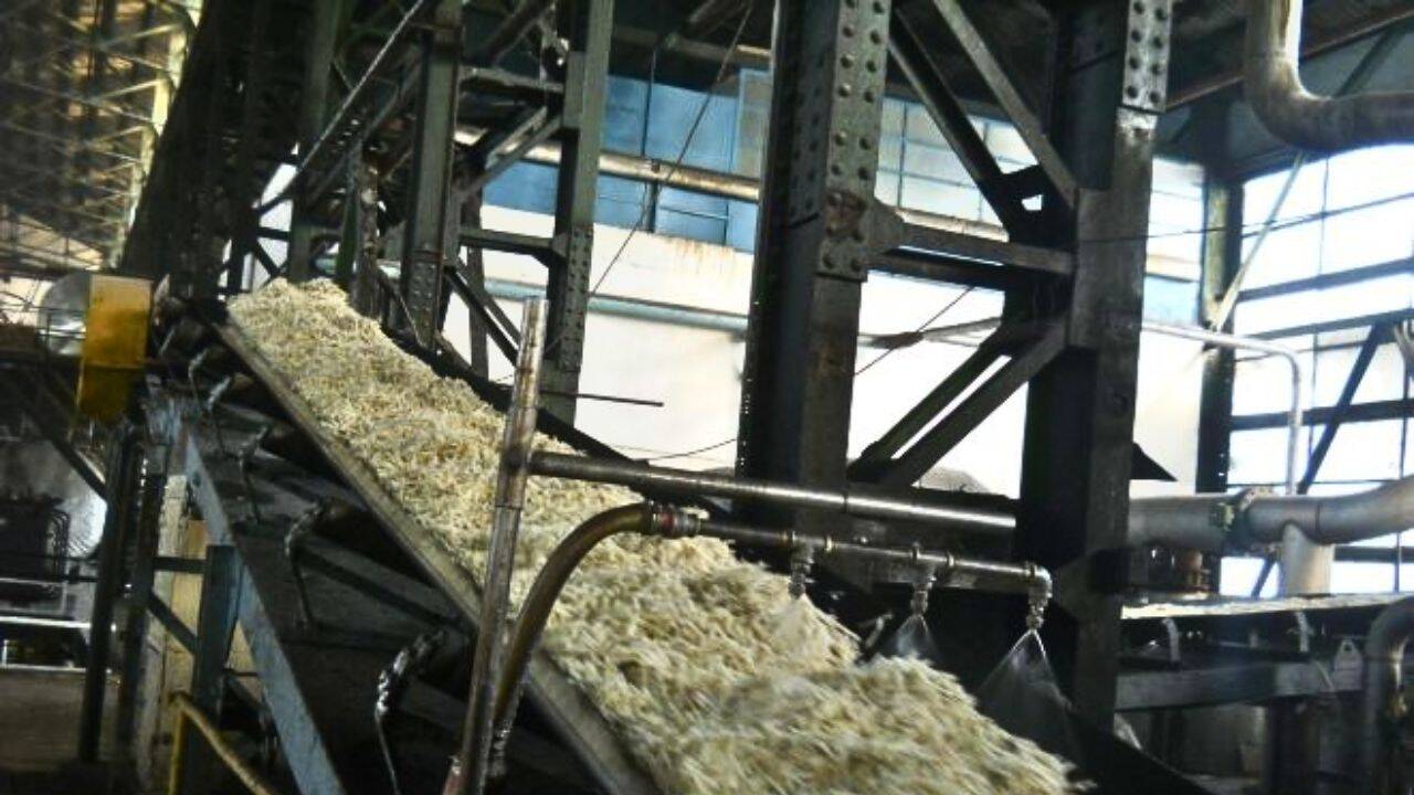interiorul unei fabrici unde se proceseaza sfecla