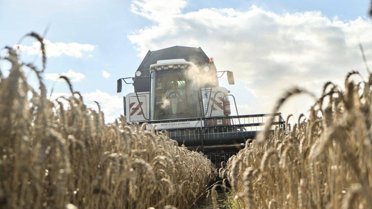 un utilaj agricol in grau