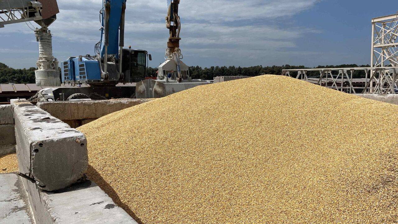 cereale intr-un container