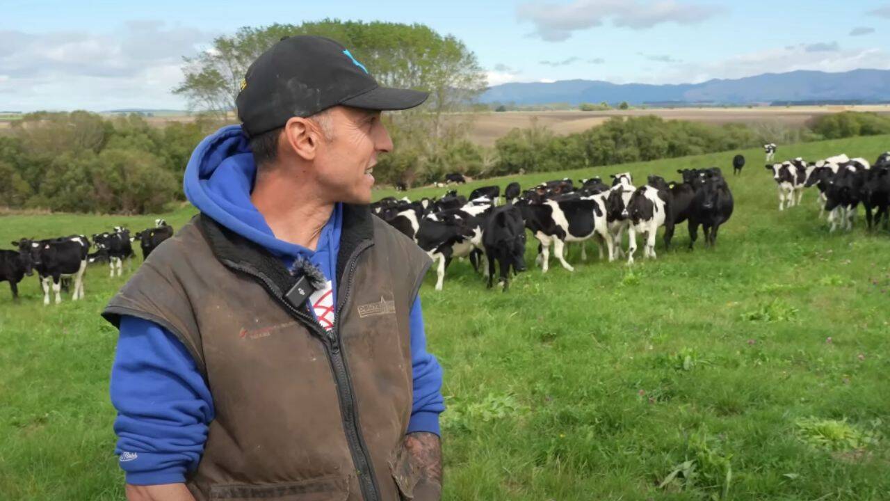 Remus Coman, un fermier din Noua Zeelanda