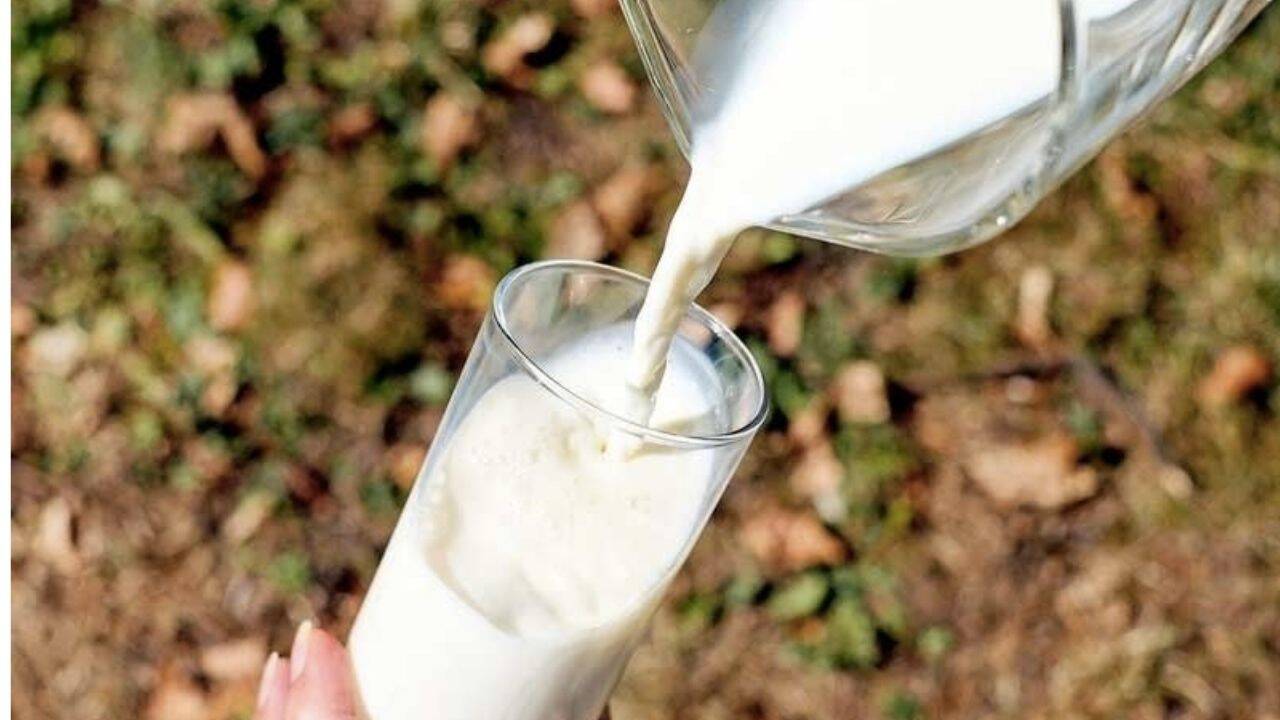 un pahar in care se toarna lapte