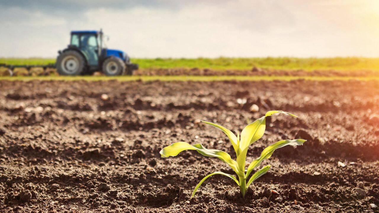 o planta si un tractor pe camp