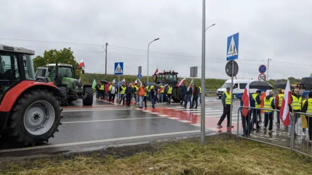 mai multe persoane cu veste reflectorizante pe strada si un sosea