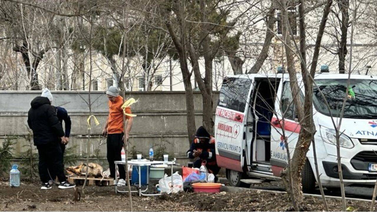 mai multe persoane care sacrifica un porc, langa o ambulanta