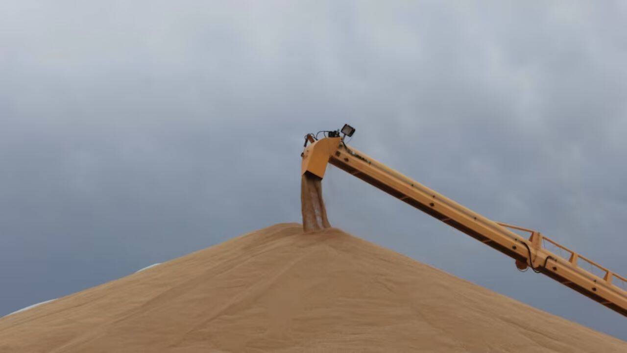 un munte de cereale recoltate