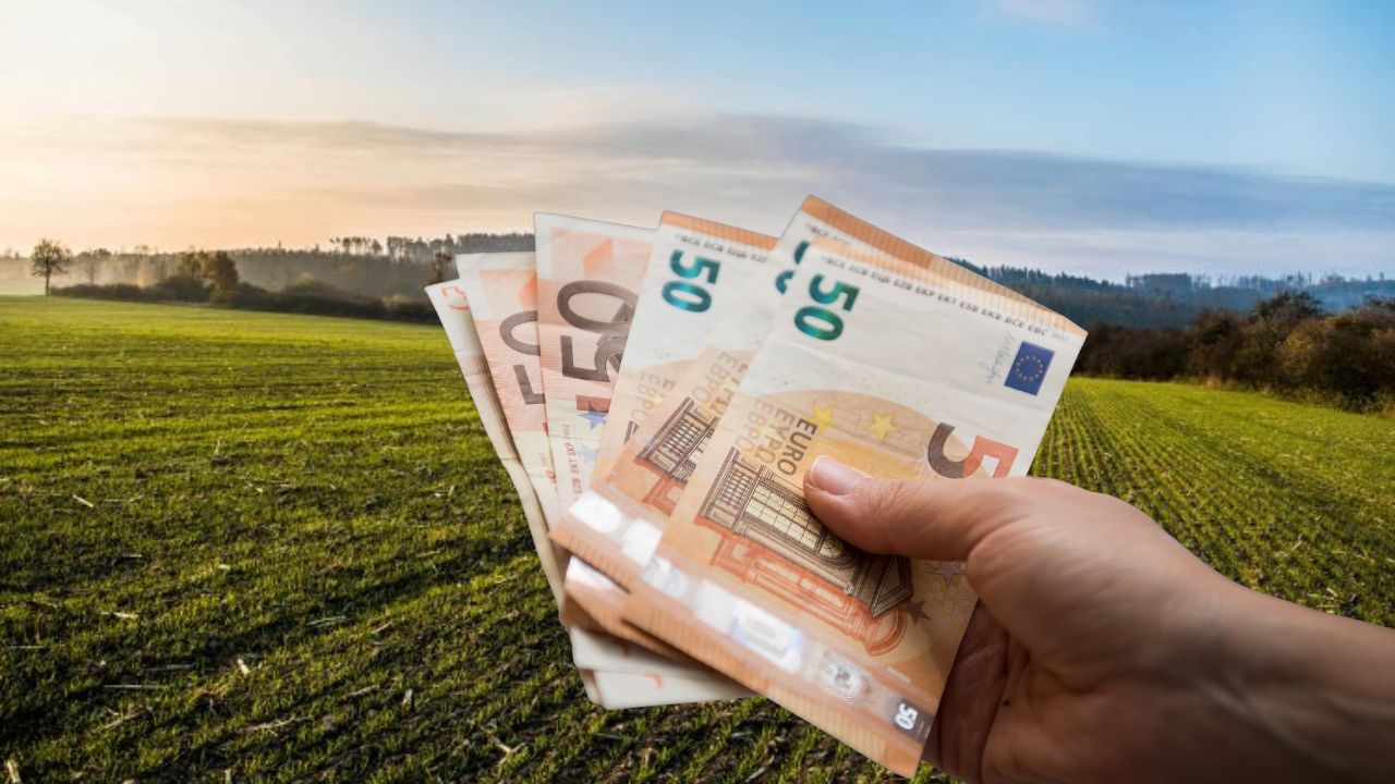 Plăți APIA