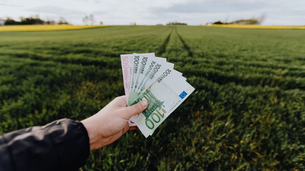 Plăți compensatorii pentru fermieri