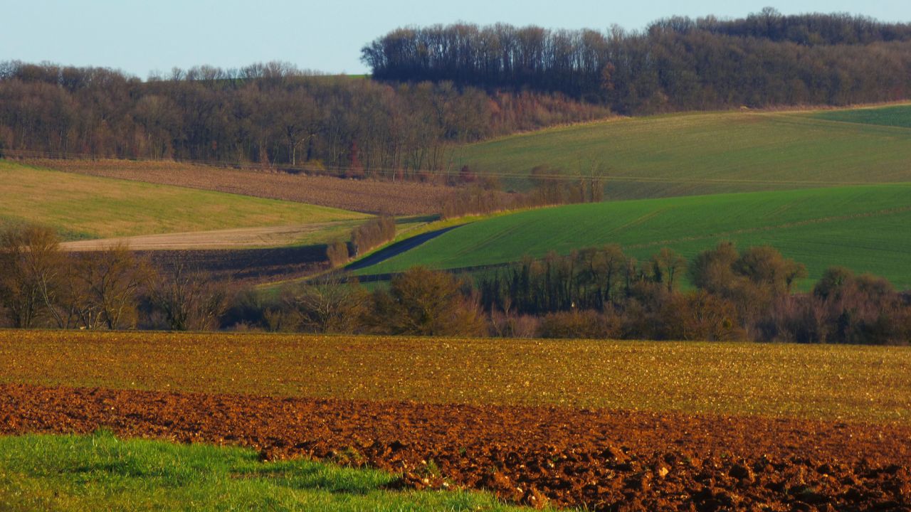 Teren agricol