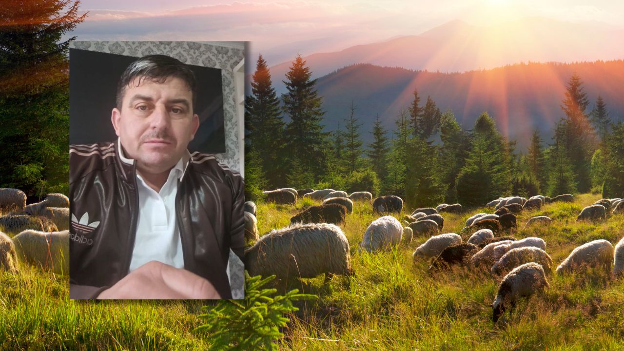 Ionică Sterp