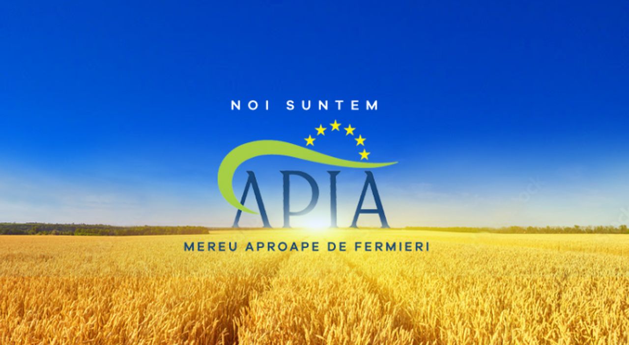 Identitatea APIA