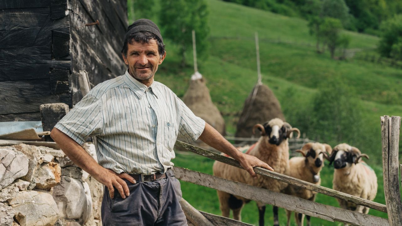 Crescător de ovine