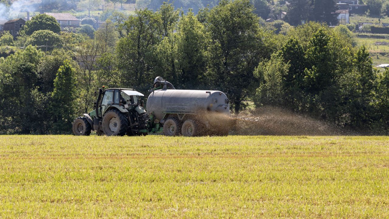 Fertilizare cu gunoi de grajd