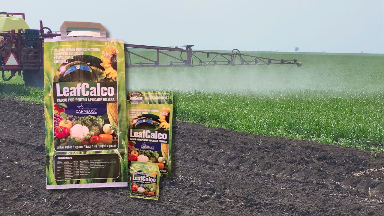 Leafcalco