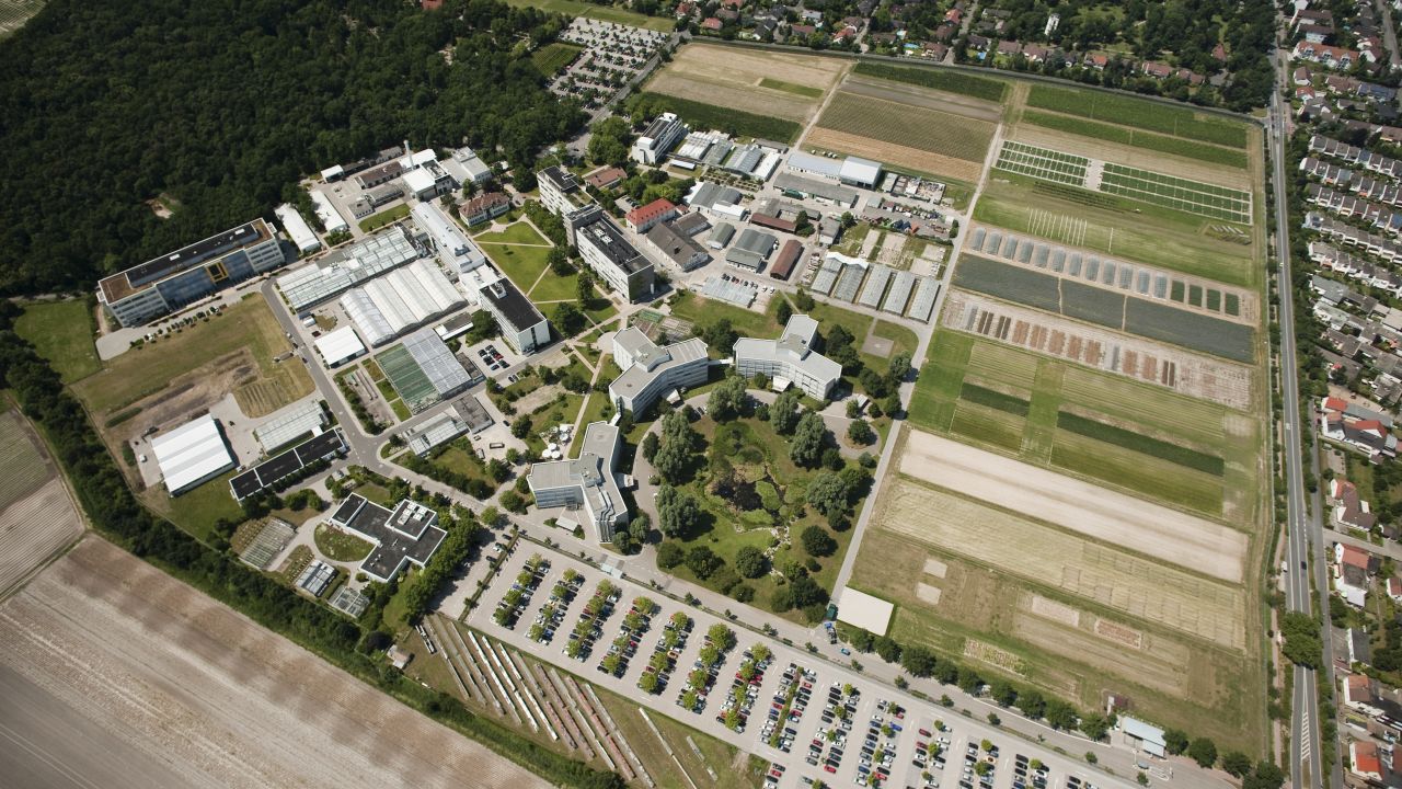 Sediul BASF