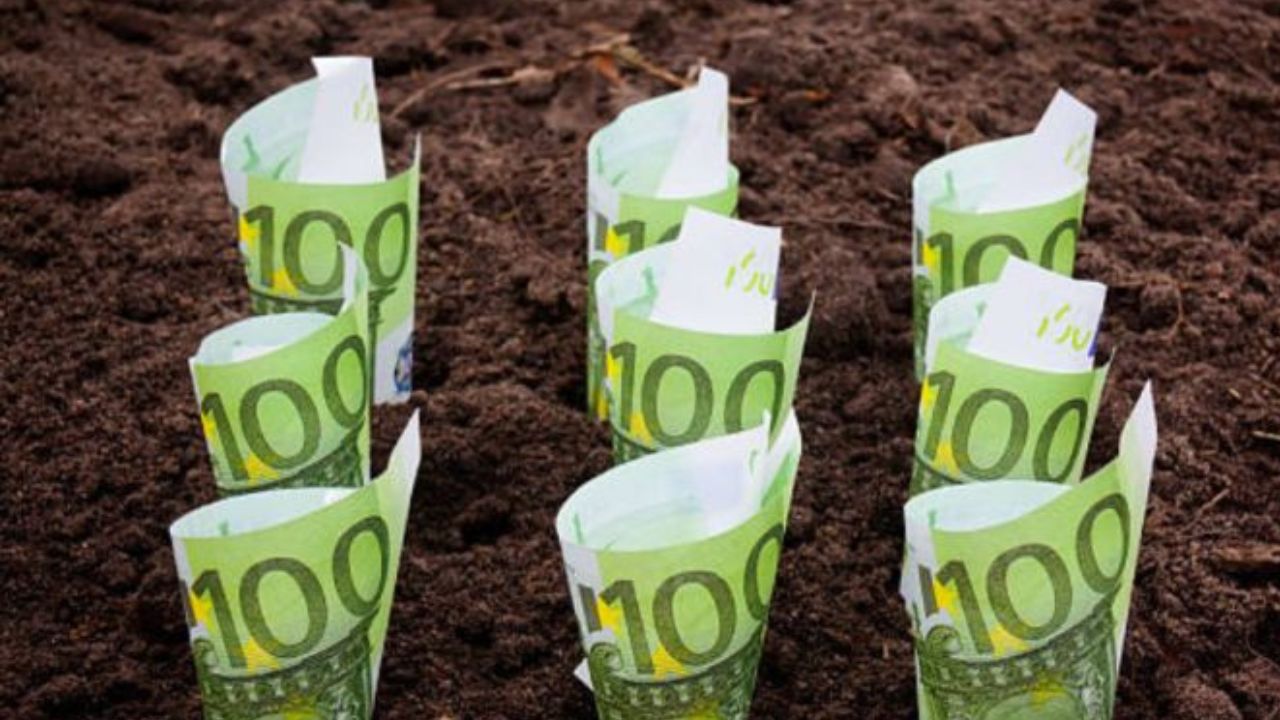 Subvenții APIA publicate în Monitorul Oficial