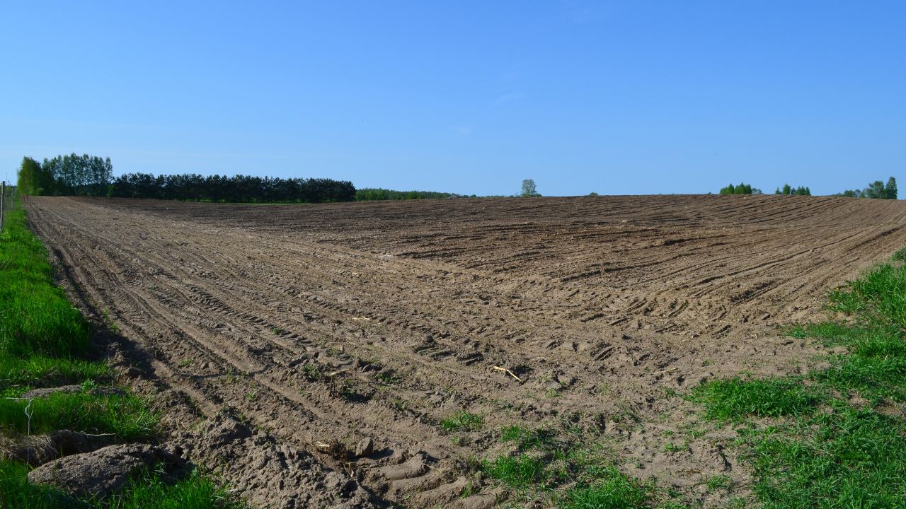 Teren agricol în județul Ilfov