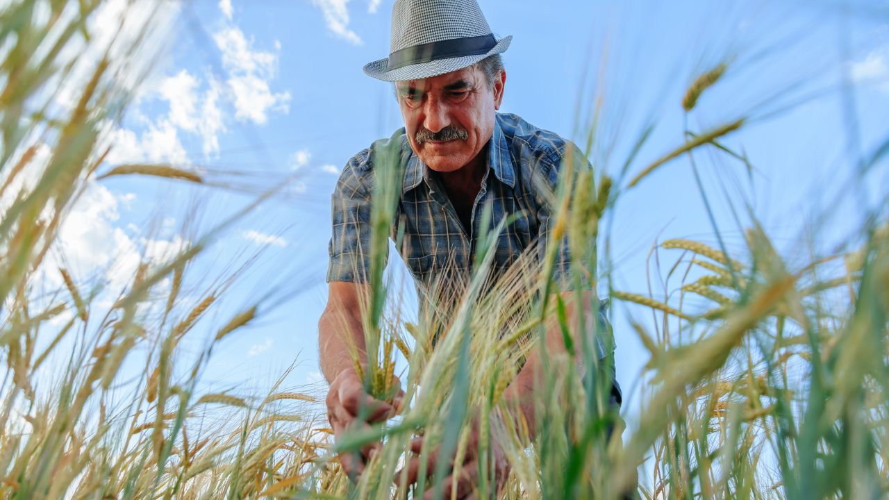 Bursa agricolă la început de iunie