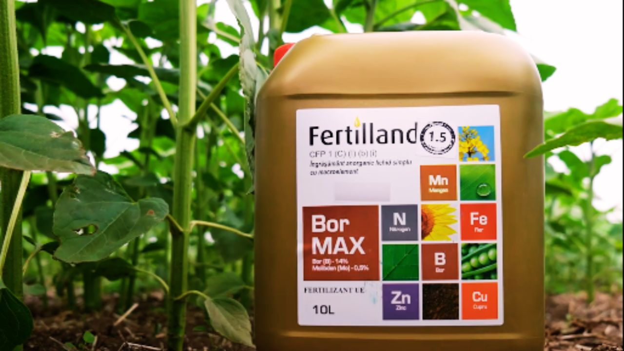 Fertilland Bor Max se găsește în portofoliul Rodbun